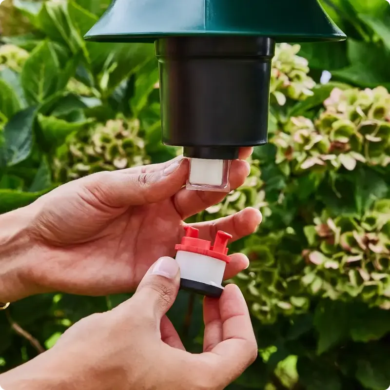 Mains remplaçant la cartouche d'attractif sous la tête d'une borne anti-moustiques, dans un jardin